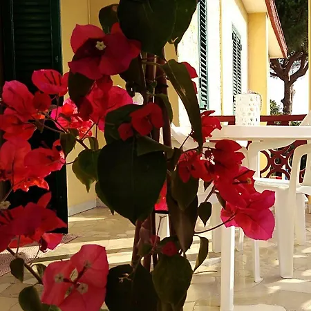 Mady Appartement Locorotondo