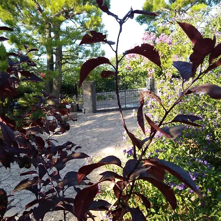 Mady 로코로톤도