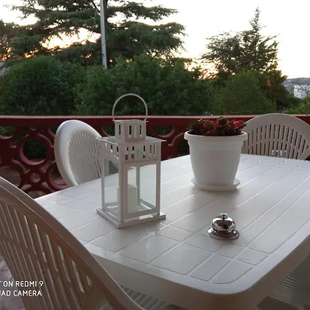 Mady * 로코로톤도