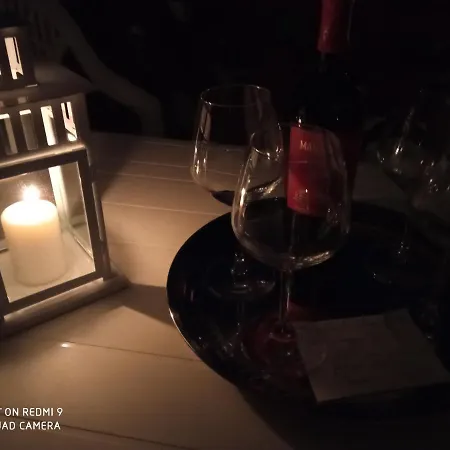 Mady * 로코로톤도