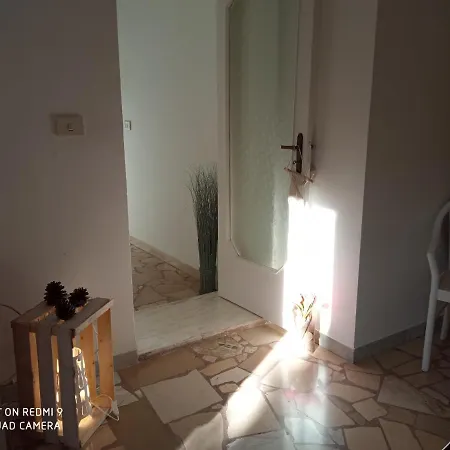 Mady 로코로톤도